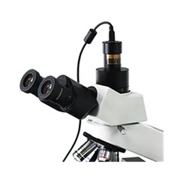 5.1 M 30 kép / mp Digitális Szemlencse Mikroszkóp Kamera C-Mount Adapterrel SCMOS05100KPA